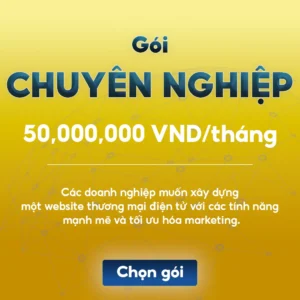 goi-chuyen-nghiep